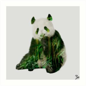 panda-double-exposition-john-beckley-avec-signature