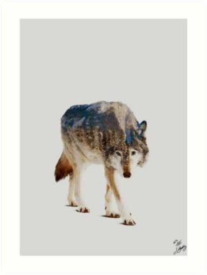 wolf-double-exposure-john-beckley-avec-signature-exemple