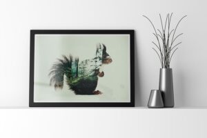 ecureuil-dans-les-bois-frame-01