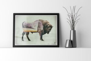 hbison-double-exposition-cadre-01